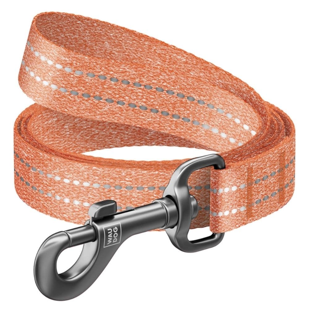 https://admins.bertasnams2.webplace.lv/storage/media/19597/4823089343372_1_WAUDOG-Pavada-suņiem--kokvilnas,-atstarojoša,-W-20-mm,-L-200-cm,-oranža.jpg